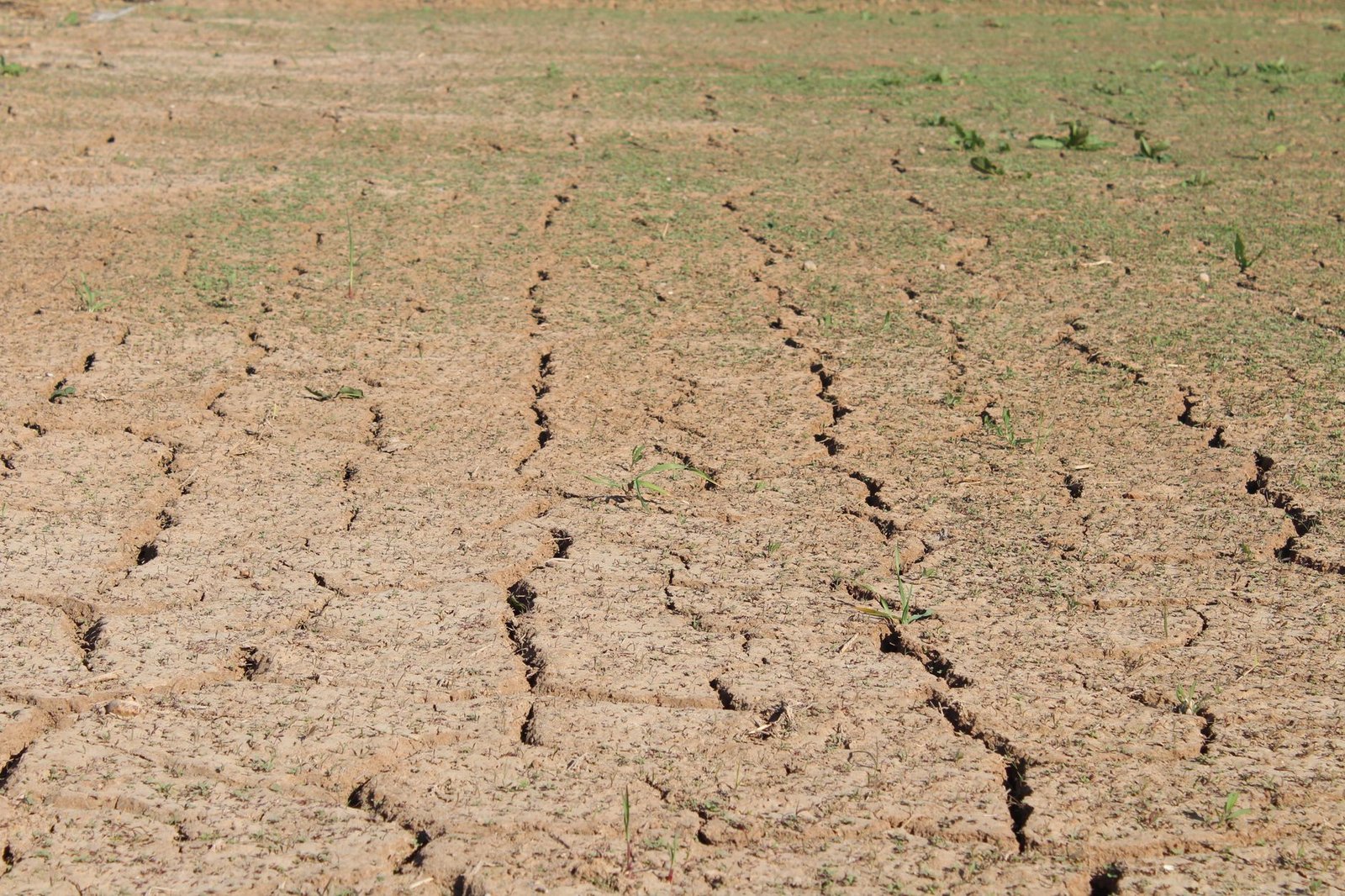 Terreno de secano agrietado que ilustra la baja humedad del clima continental español